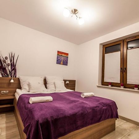 Przy Grajcarku - Apartamenty Homole Szlachtowa Εξωτερικό φωτογραφία